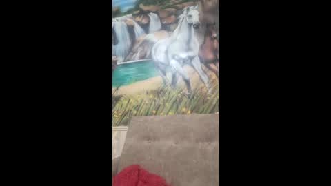 albina online show from 02/09/26, 08:40