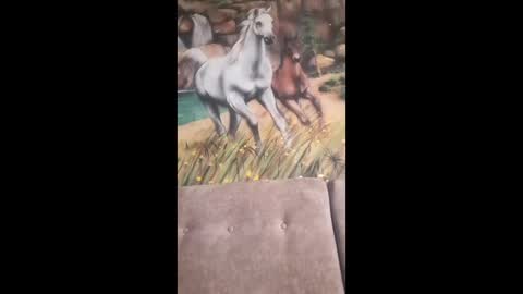 albina online show from 02/13/26, 09:49