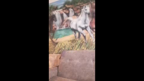 albina online show from 02/24/26, 08:23