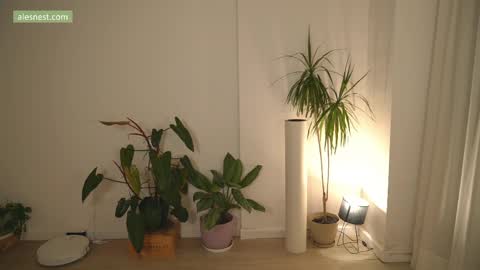 Ale online show from 04/06/26, 11:49