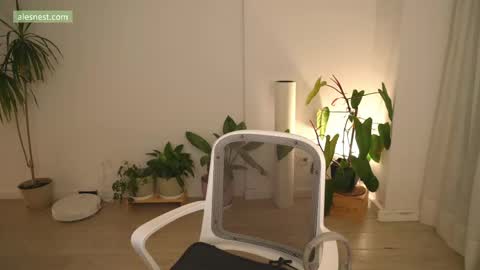 Ale online show from 04/12/26, 11:10