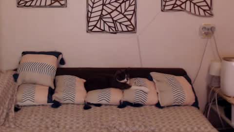 Sandra online show from 02/25/25, 08:09