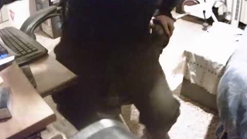 alex81pv1981 online show from 12/08/24, 06:50