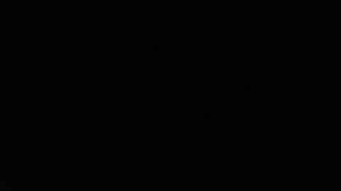 Alex online show from 02/26/26, 01:04