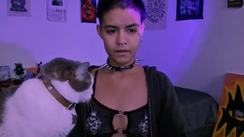 Alex online show from 06/14/26, 03:36