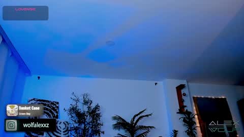 Snapshot of alex_wolf__ chatting on 01/17/25, 05:21 Alex Wolf online show from 01/17/25, 05:21