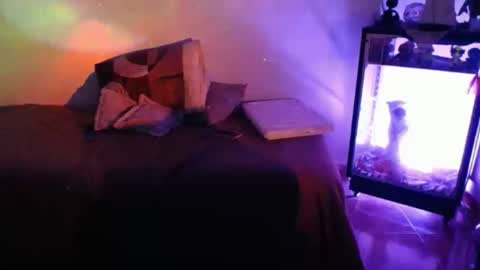 Alexa online show from 09/22/25, 11:18