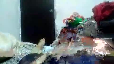 Alexamdergal online show from 01/11/25, 03:13