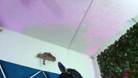 Alexa online show from 03/27/26, 02:28