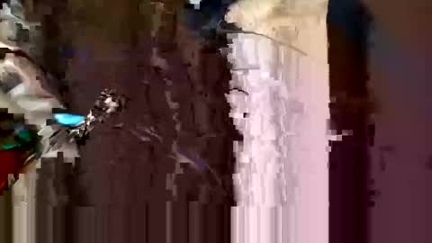 alexey932 online show from 11/10/25, 10:03