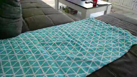 Doggystyle online show from 12/24/24, 11:49