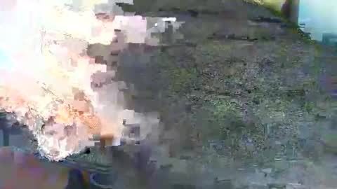 Alex online show from 10/17/25, 03:03