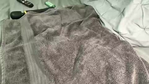 Alexis online show from 12/13/24, 11:34