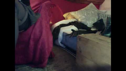 Snapshot of alexischat chatting on 09/25/25, 04:16 alexischat online show from 09/25/25, 04:16