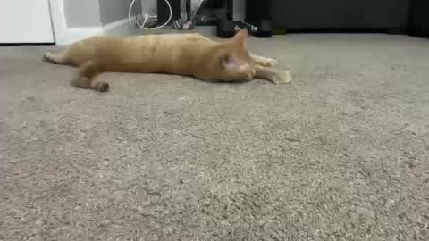 alexispaige06 online show from 10/11/25, 07:01