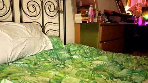 Alex online show from 12/22/24, 09:31