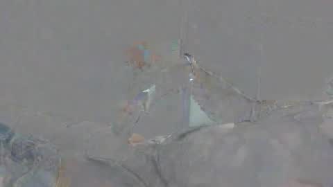 Snapshot of alexsmith9876 chatting on 04/02/26, 02:15 Alexsmith9876 online show from 04/02/26, 02:15