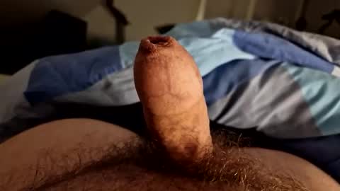 Snapshot of alfred2349 chatting on 10/04/25, 11:36 alfred2349 online show from 10/04/25, 11:36