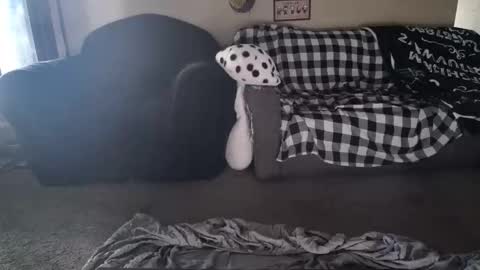 alice_leray online show from 05/26/26, 10:50