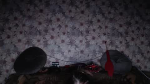 alice longstocking online show from 02/07/26, 03:38