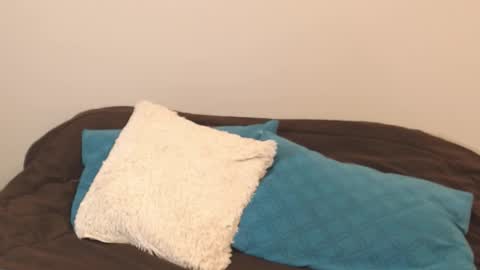 Snapshot of alice_middle01 chatting on 09/11/25, 04:18 Alice online show from 09/11/25, 04:18