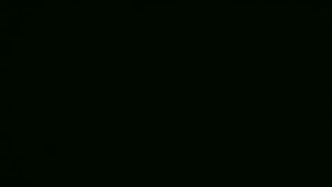 Alice online show from 12/19/25, 06:26