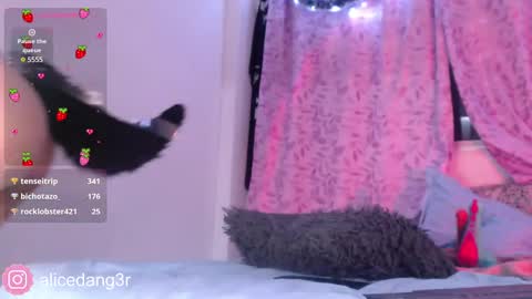 Snapshot of alicedang3r chatting on 12/15/24, 05:13 Alice  online show from 12/15/24, 05:13