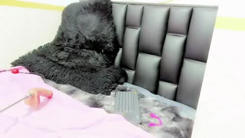 Snapshot of alicee_mature chatting on 05/12/26, 09:45 alicee online show from 05/12/26, 09:45