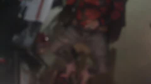 aliceleemcgee online show from 02/22/26, 10:36