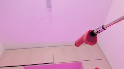 Snapshot of alicepipper chatting on 02/26/25, 06:54 ALICE online show from 02/26/25, 06:54