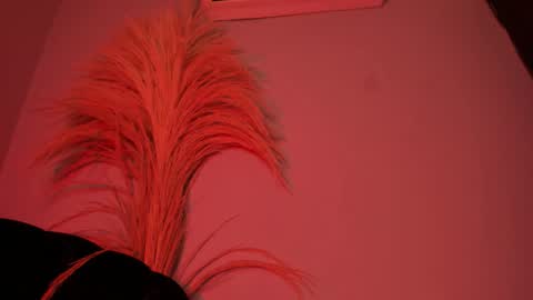 ALICE  online show from 10/25/25, 03:14