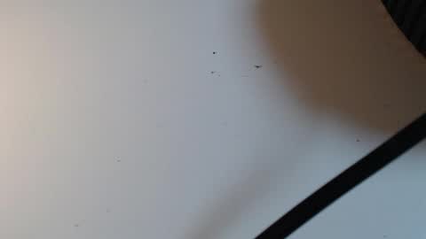 Alid 17 online show from 02/16/26, 05:31