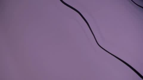 alison smith online show from 12/05/24, 12:11