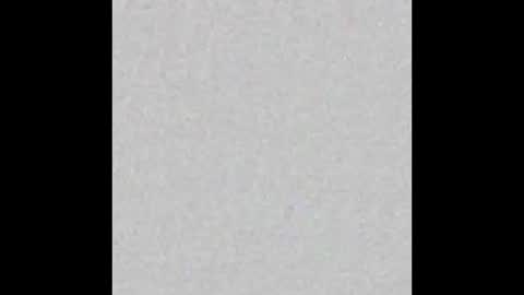 Alisse online show from 02/14/26, 12:13