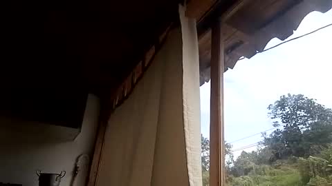 Alisson369  online show from 02/13/25, 03:03