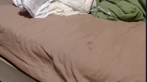 Alissonnat online show from 03/11/25, 05:35