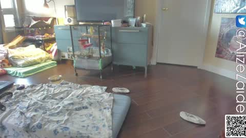 Alize Zaide online show from 01/10/25, 10:04