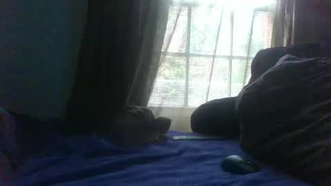 allbermy online show from 02/23/25, 09:48