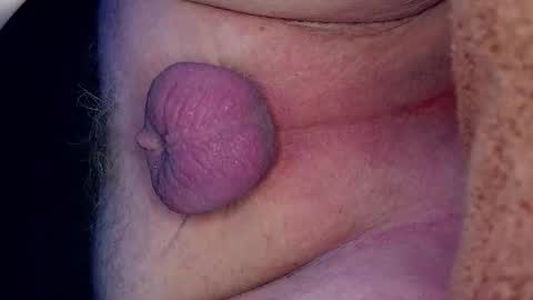 Growing Wiener online show from 03/27/26, 12:38