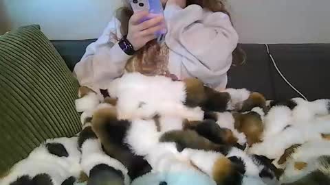 alliebearx online show from 04/18/26, 03:49