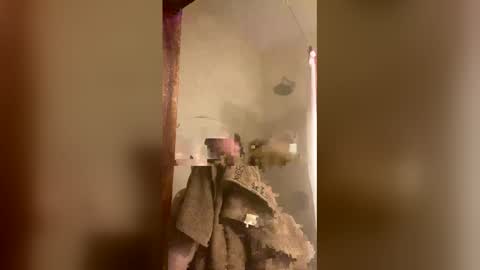 Snapshot of allisonlove2 chatting on 04/09/26, 11:32 allisonlove2 online show from 04/09/26, 11:32