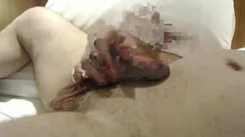 Frank online show from 01/29/25, 10:22