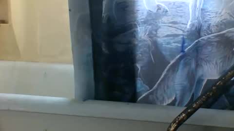 Snapshot of allwolf0323 chatting on 11/06/25, 03:24 allwolf0323 online show from 11/06/25, 03:24