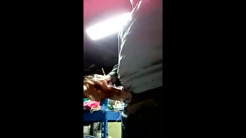 allwolf0323 online show from 12/15/25, 08:07