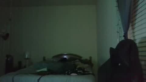 ally12334 online show from 04/03/26, 01:14