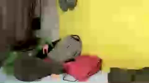 allyam online show from 06/27/26, 12:33