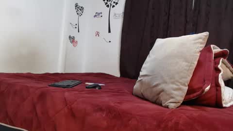 Snapshot of allyka_transsm chatting on 12/27/24, 02:47 Allyka online show from 12/27/24, 02:47