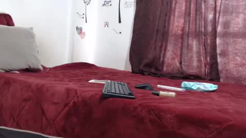 Snapshot of allyka_transsm chatting on 01/12/25, 08:25 Allyka online show from 01/12/25, 08:25