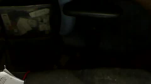 Snapshot of aloooopyscot chatting on 01/20/25, 07:04 Loooopy online show from 01/20/25, 07:04