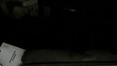 Snapshot of aloooopyscot chatting on 02/01/25, 11:58 Loooopy online show from 02/01/25, 11:58